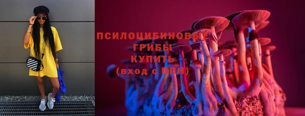 соль ск Аркадак