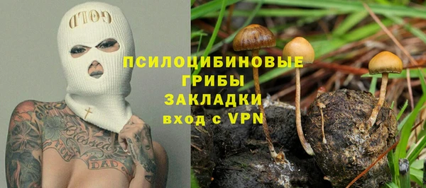 соль ск Аркадак