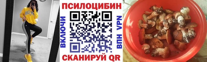 Псилоцибиновые грибы GOLDEN TEACHER где продают наркотики Армянск